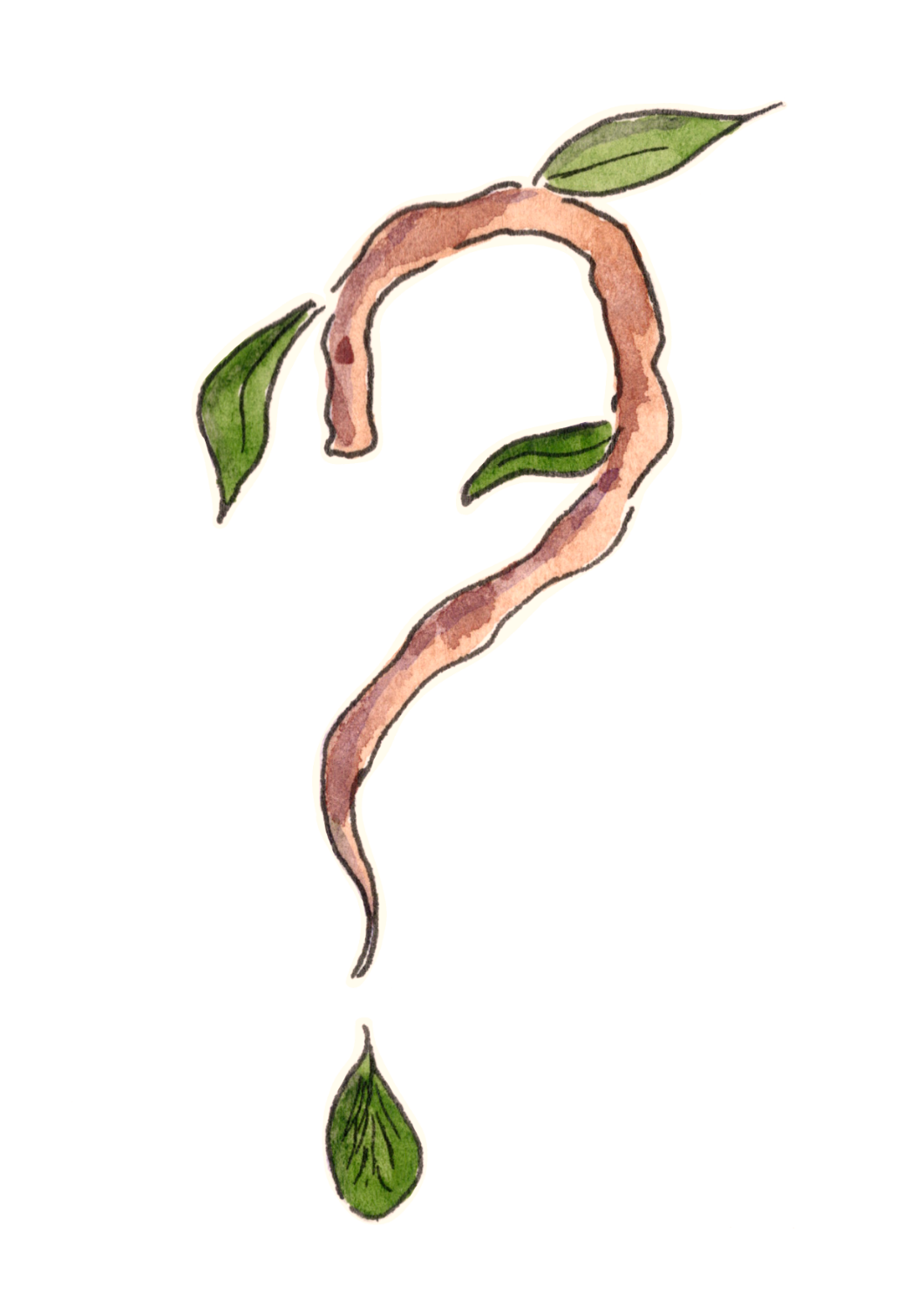 Illustration à l'aquarelle d'un point d'interrogation formé par une branche sinueuse et des feuilles vertes.