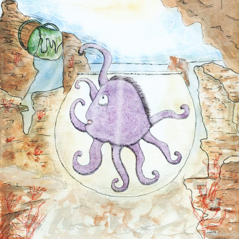 Illustration à l'aquarelle d'un poulpe violet à l'expression surprise, enfermé dans un bocal en verre posé sur le fond marin entre des rochers, regardant un sac vert couler vers lui.