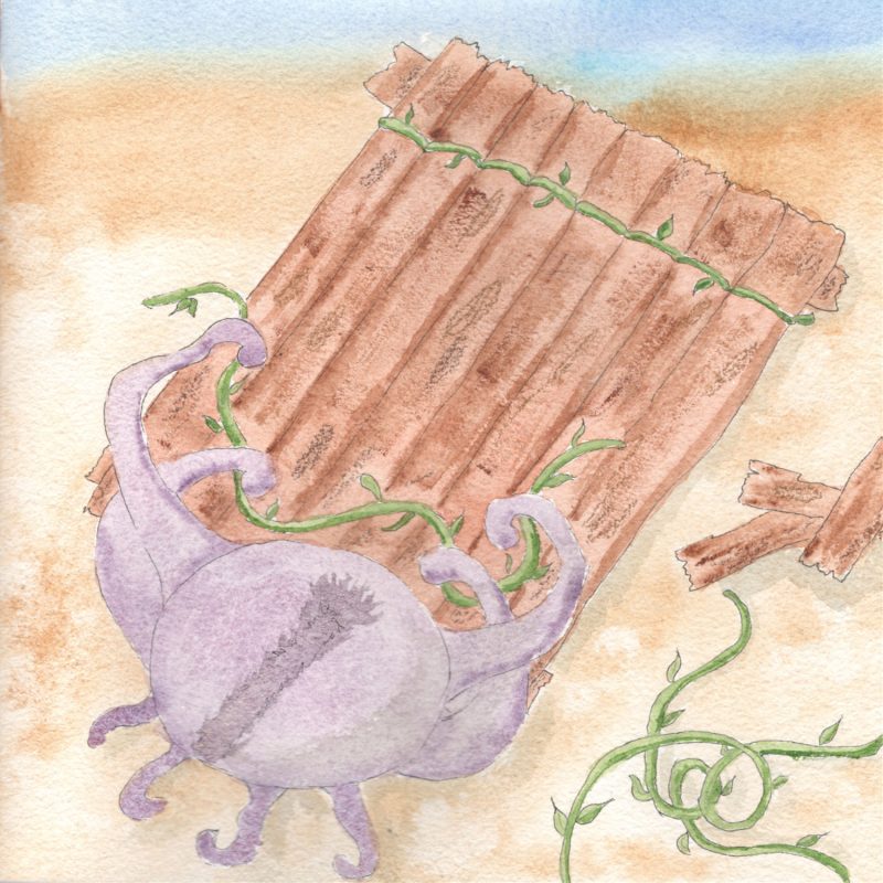 Illustration à l'aquarelle d'un poulpe violet vu de dessus, manipulant un radeau de fortune posé sur le sable. Le radeau est fait de planches de bois attachées entre elles par des lianes vertes.