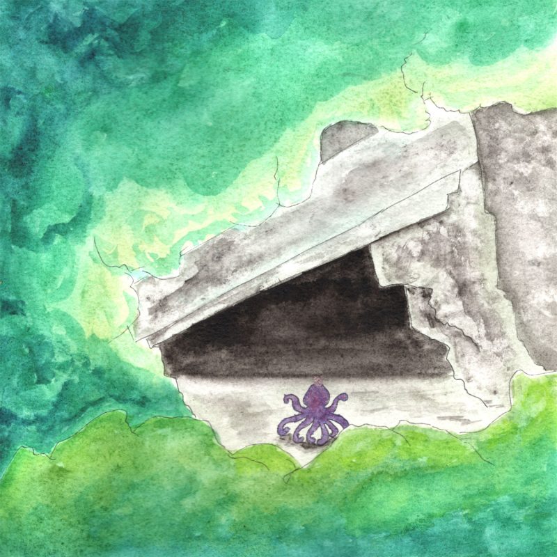 Illustration à l'aquarelle d'un tout petit poulpe violet vu de dos, immobile face à l'entrée géométrique et très sombre d'une caverne en pierre grise. La grotte est entourée d'une végétation abstraite aux tons verts vibrants.