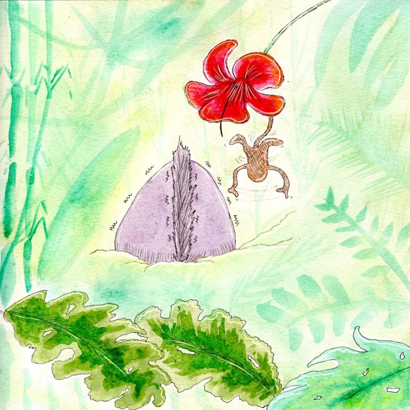 Illustration à l'aquarelle d'un poulpe violet vu de dos, tremblant au milieu d'une jungle luxuriante, surpris par un petit singe brun qui se balance au-dessus de lui depuis une grande fleur tropicale rouge.
