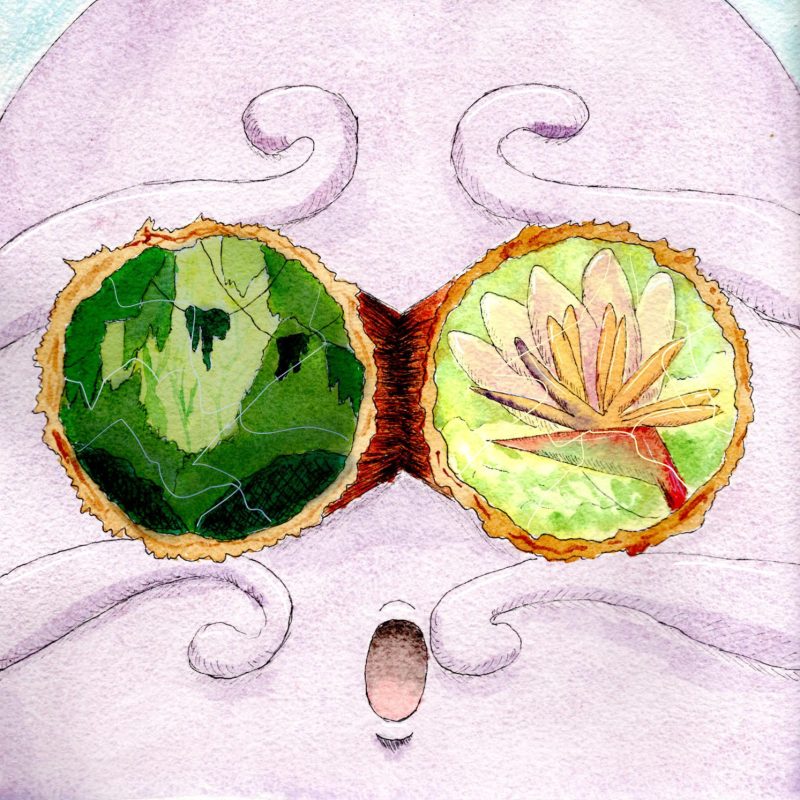 Gros plan à l'aquarelle du visage d'un poulpe violet à l'expression émerveillée, portant des lunettes rondes en bois. Les verres reflètent un paysage de jungle verte à gauche et une fleur tropicale oiseau de paradis à droite.