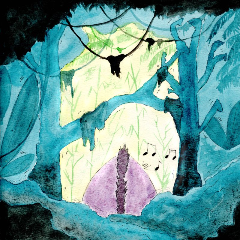 Illustration à l'aquarelle d'un poulpe violet vu de dos, sortant d'une jungle sombre et dense aux tons bleus pour découvrir une clairière très lumineuse où flottent des notes de musique.